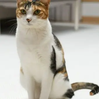 Profile image of 별