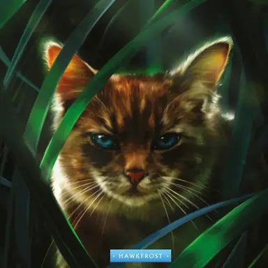 Profile image of 호크프로스트