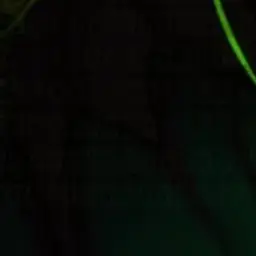 Profile image of 여우