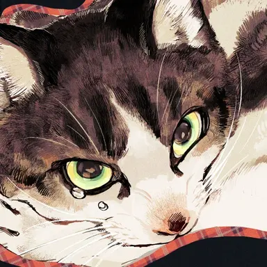 Profile image of ハチ