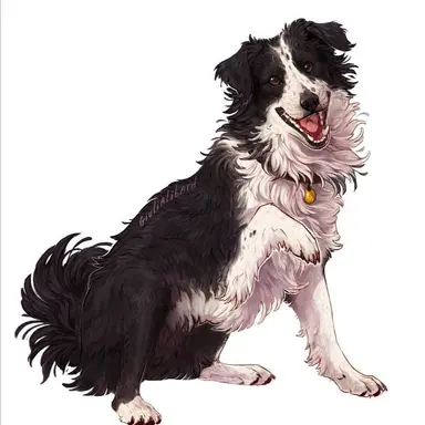 Profile image of 珀