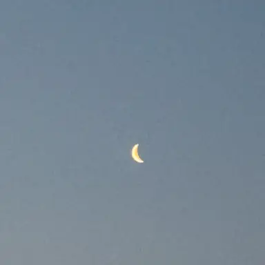 Profile image of 노유나