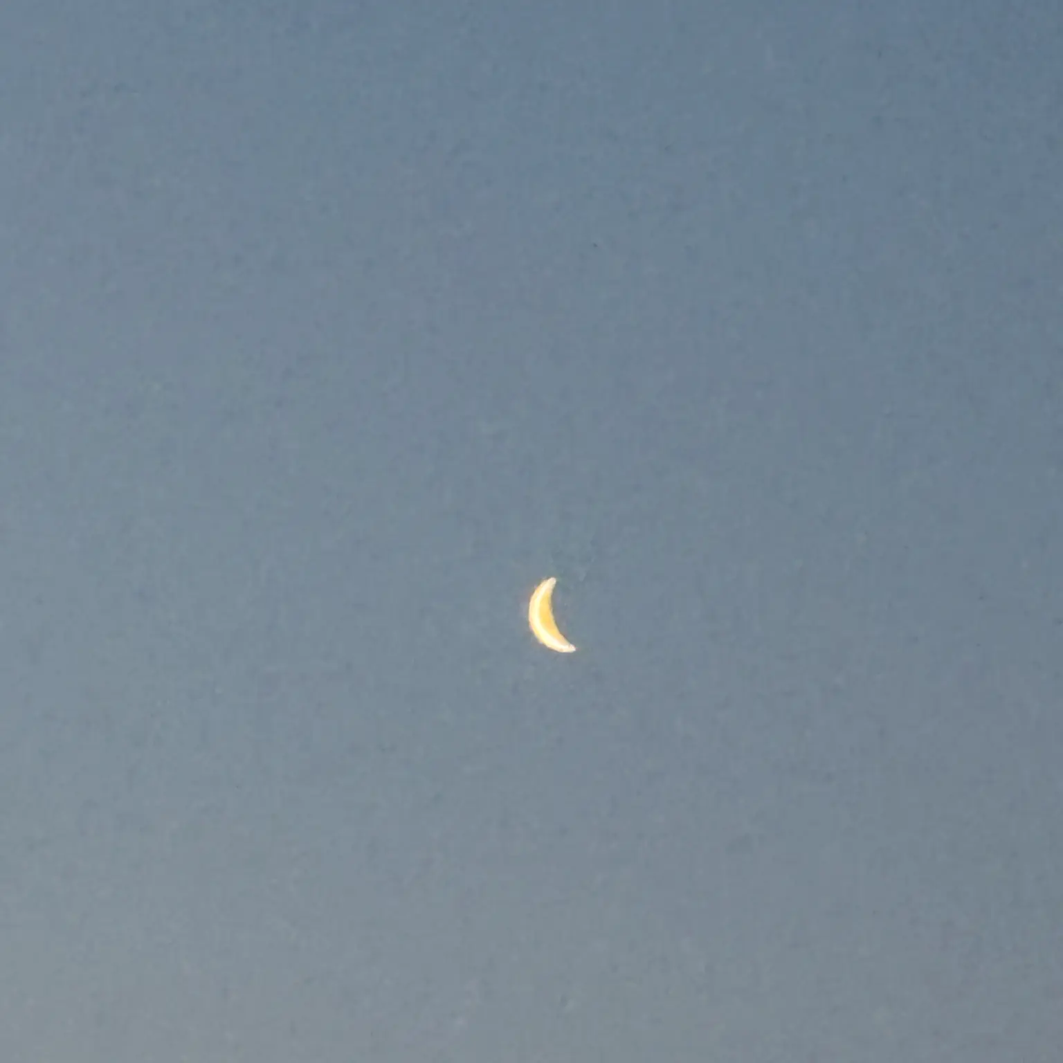 LazyYawn4577의 ㅡ개인용