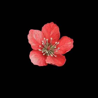 Profile image of 해설자.