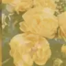 Profile image of 優吾