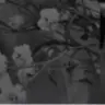 Profile image of 北斗