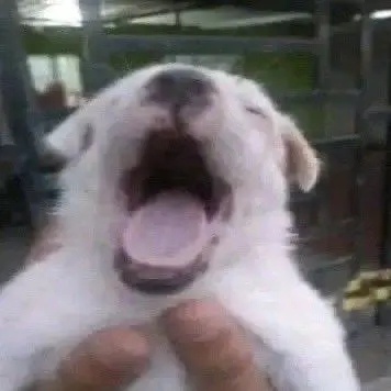 Xd.2947의 김민정