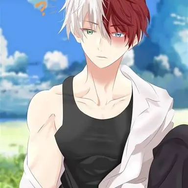 Profile image of Shoto Todoroki