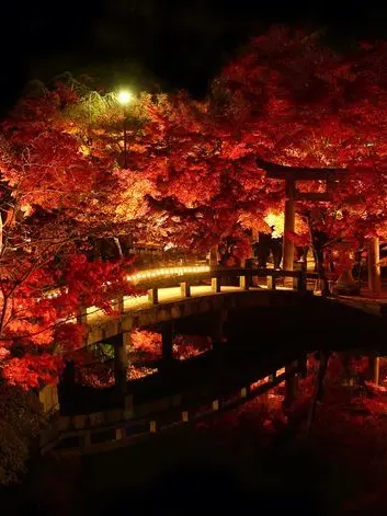 lize_1001_9의 아씨를 보좌하는 사가 의원.
