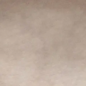 Profile image of 채스터