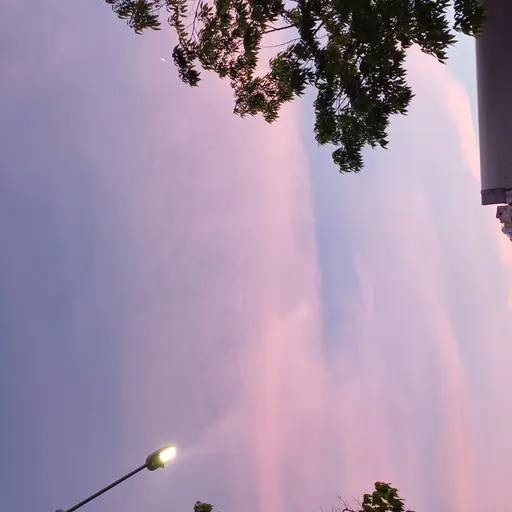 SquareClip4266의 동물학교
