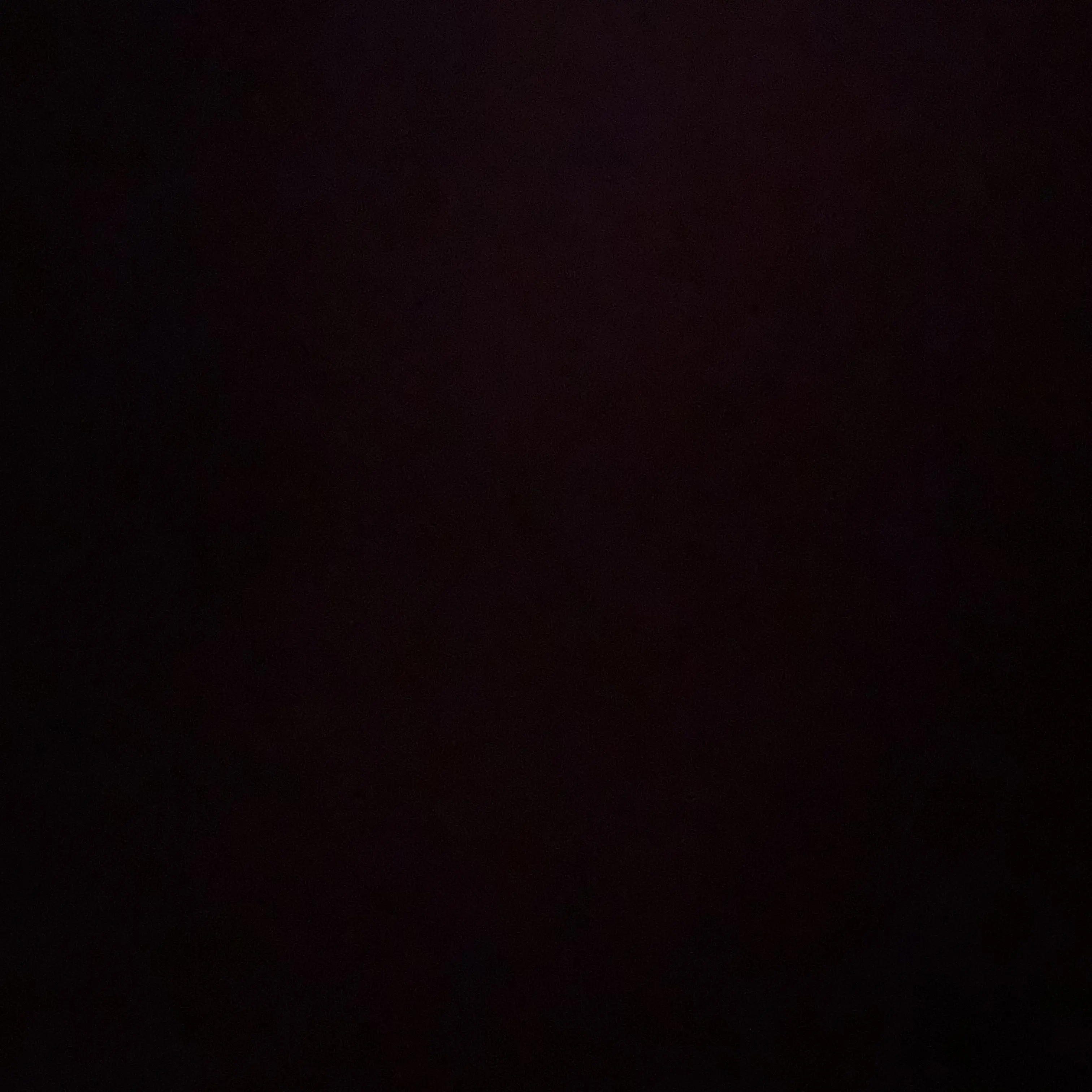 MildEar9113의 태권도!