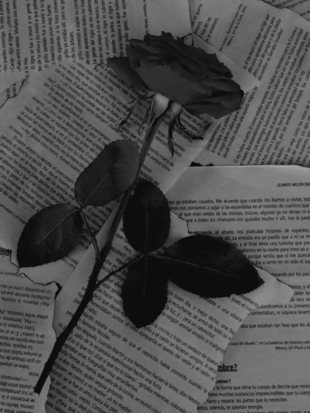 uweeeeey의 ゆ.う.か.い. 🇪🇸🇫🇷🐥