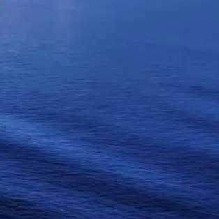 Profile image of 鈴木