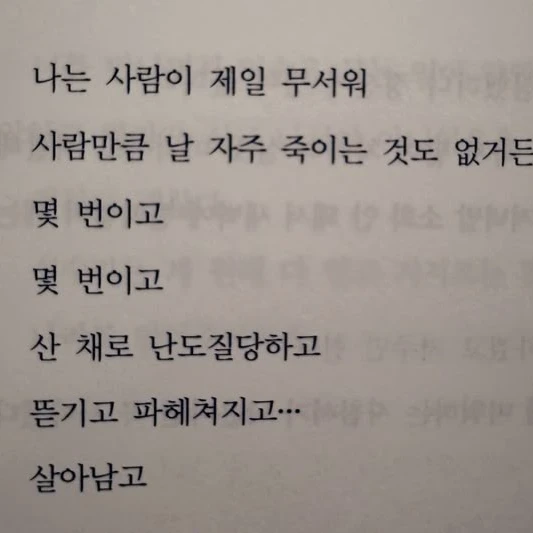 김애리
