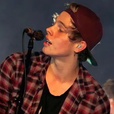 Profile image of Luke Hemmings