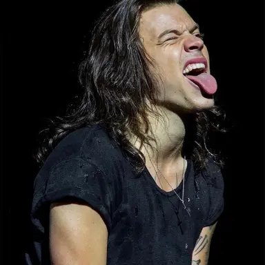Profile image of Harry Styles