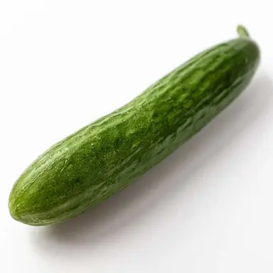 Profile image of 오이씨