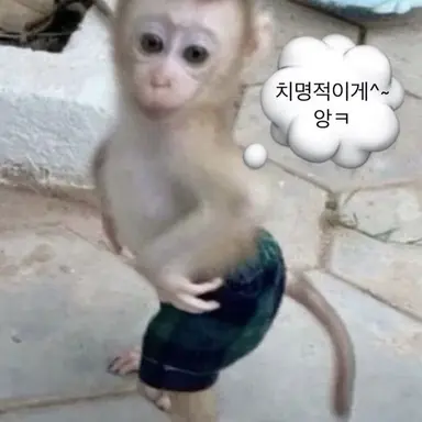 Profile image of 선생