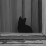 Profile image of 미오