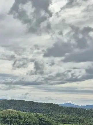 Lemon_an_parrot의 날지 못하는 새의 이야기