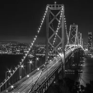 Profile image of 若井滉斗