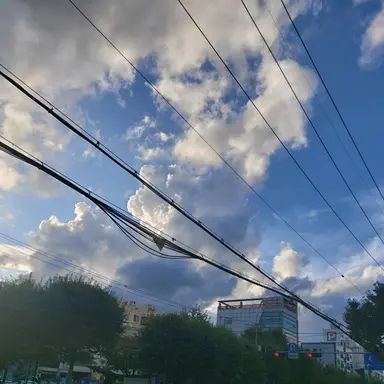 Profile image of 김민정