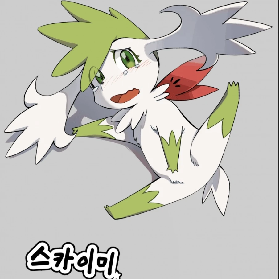 쉐이미(2)