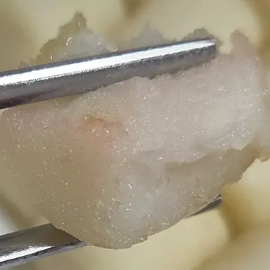 Profile image of 여우