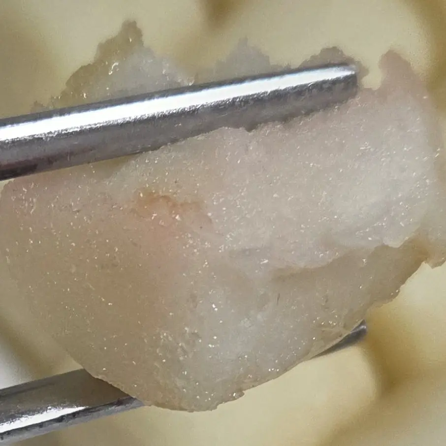 MatureMedal5761의 여우에게서짝남을지켜라!뜰팁