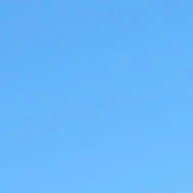 Profile image of 空