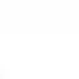 https.33의 정재현