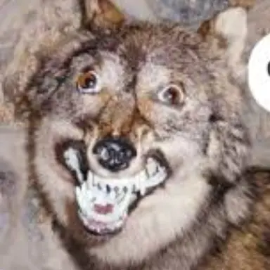 Profile image of 늑후