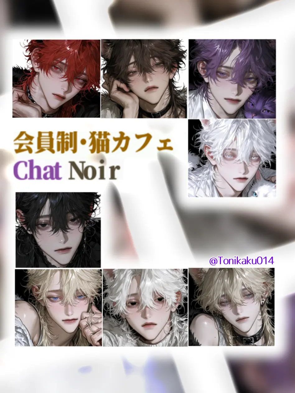 Tonikaku014의 ド屑猫8匹 ー猫カフェー