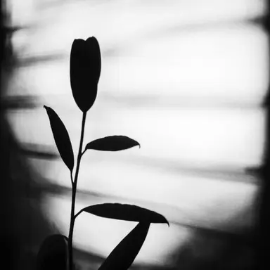 Profile image of 존 왓슨