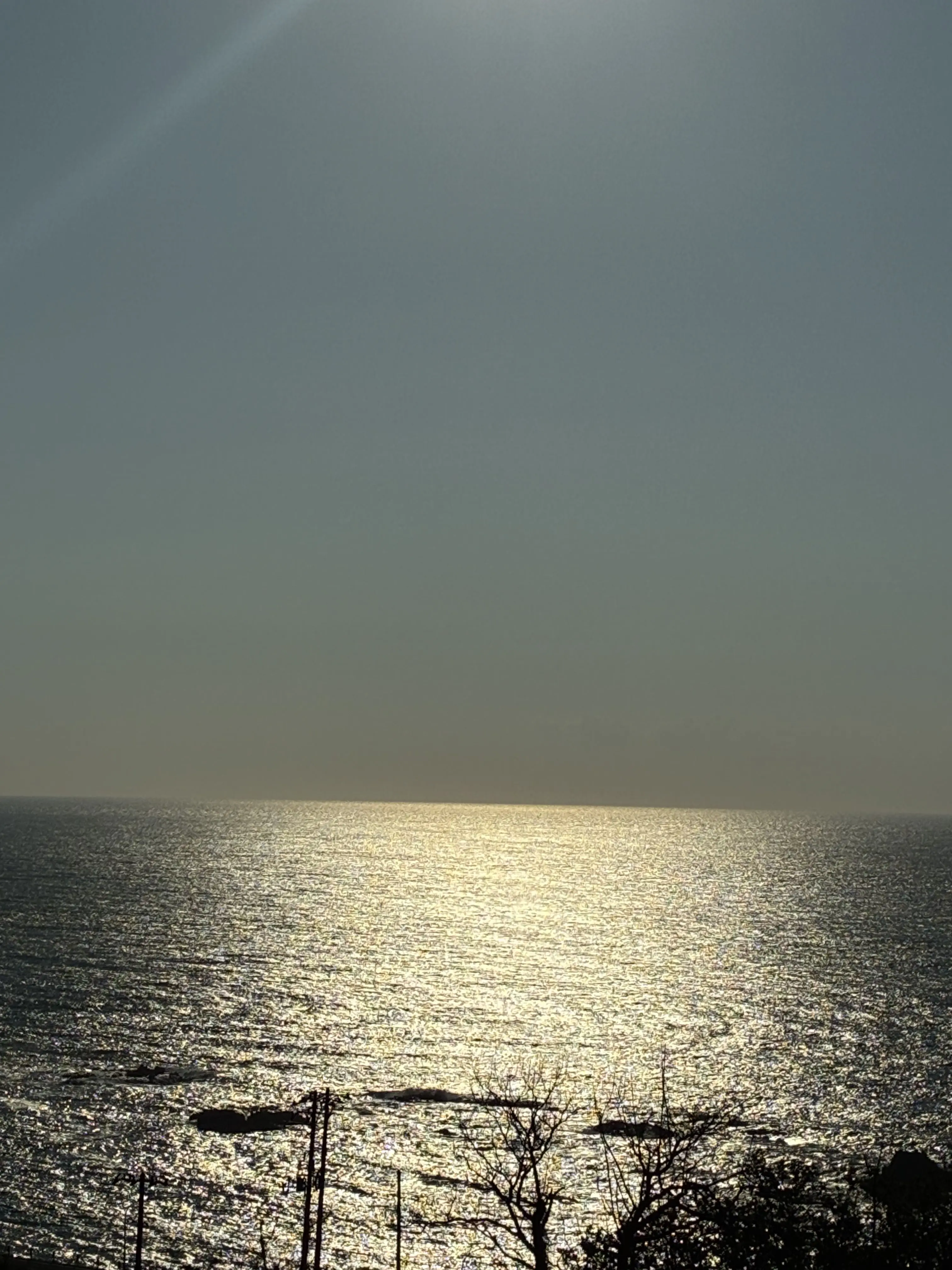 MightyBeago6217의 白黒兄弟猫は悪魔