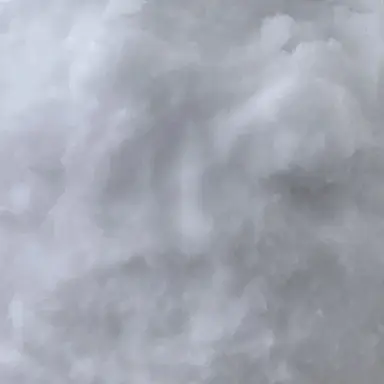 Profile image of 藍姫雪羅