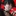 藤埜 紳耶