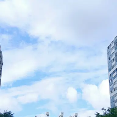 Profile image of 당신