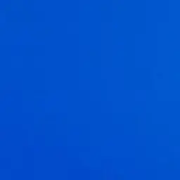 Profile image of ネイビー