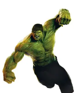 Profile image of Hulk