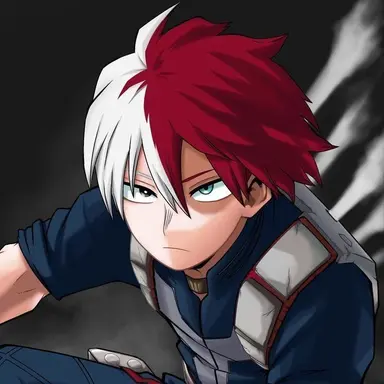 Profile image of Shoto Todoroki