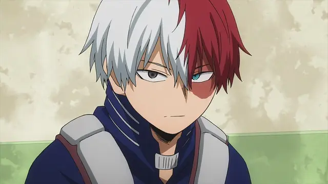 Profile image of Shoto Todoroki