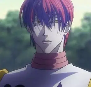 Profile image of ヒソカ