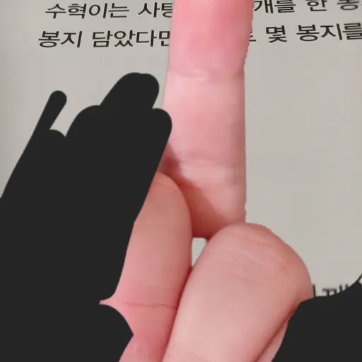 ChunkyBus5669의 돼지