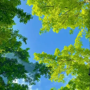 Profile image of 전민재