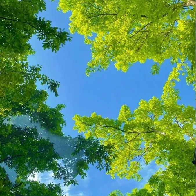 SillyPoem9900의 전민재