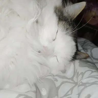 Profile image of Damien