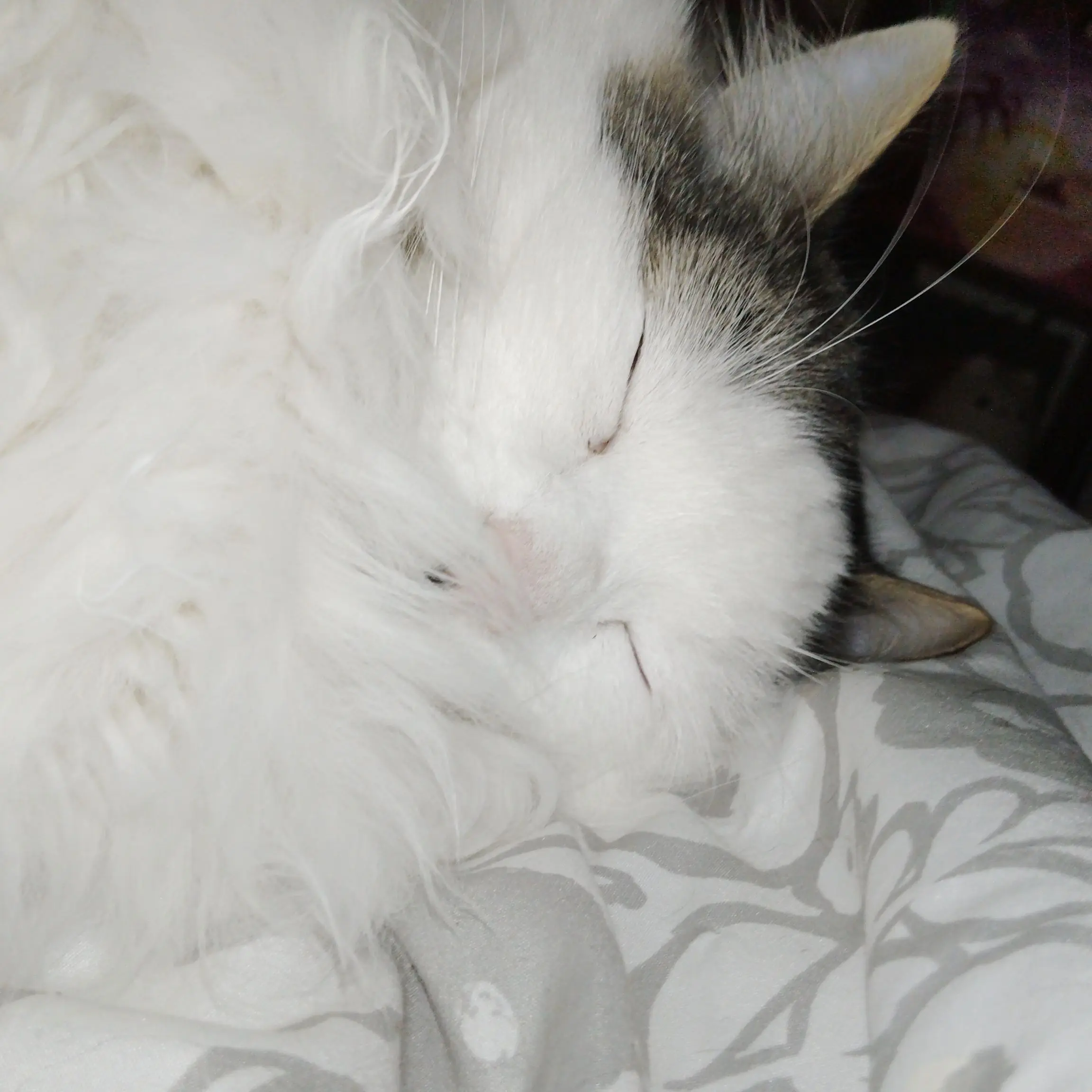 RichShow0939의 Locked In