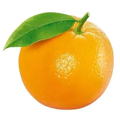 Profile image of 하영